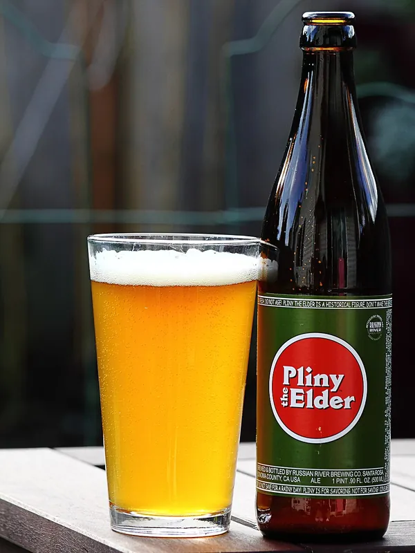 Pliny the Elder